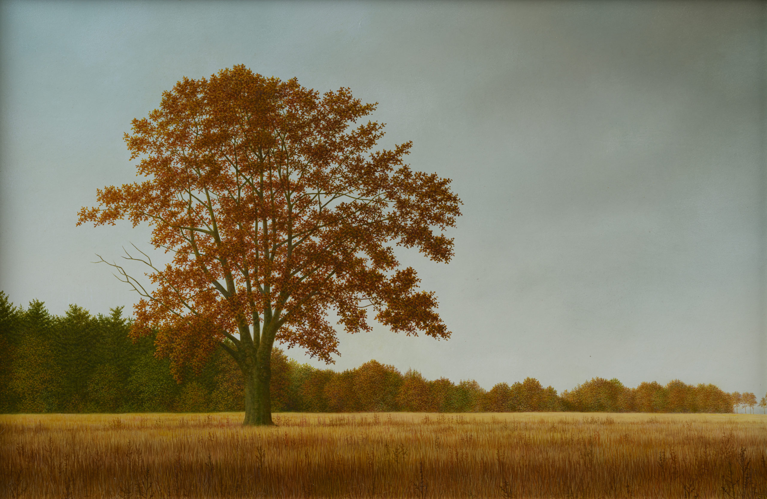 CK-337-Gerrie-Wachtmeester-Solitair-2012-40-x-60-cm-scaled